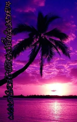 NATURE'S BEAUTY