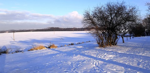 Winter_country_snow