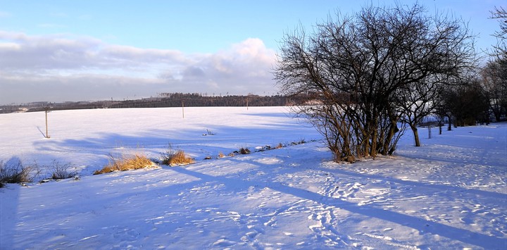 Winter_country_snow