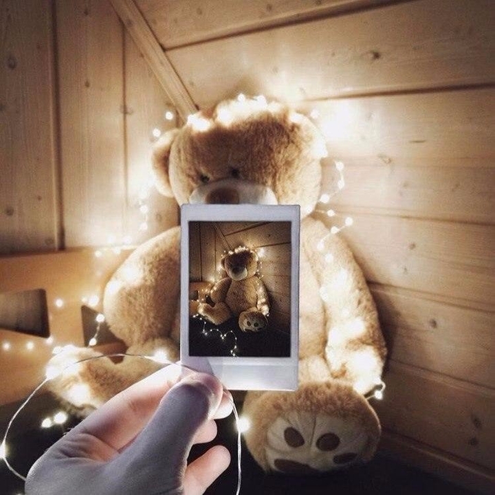 photos bear