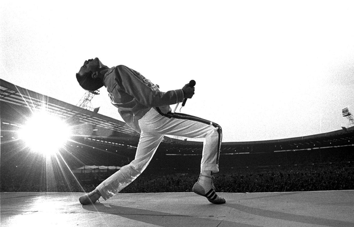 freddie