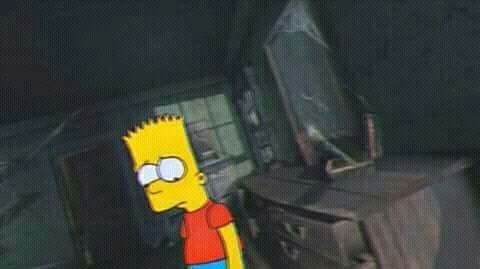 wtf