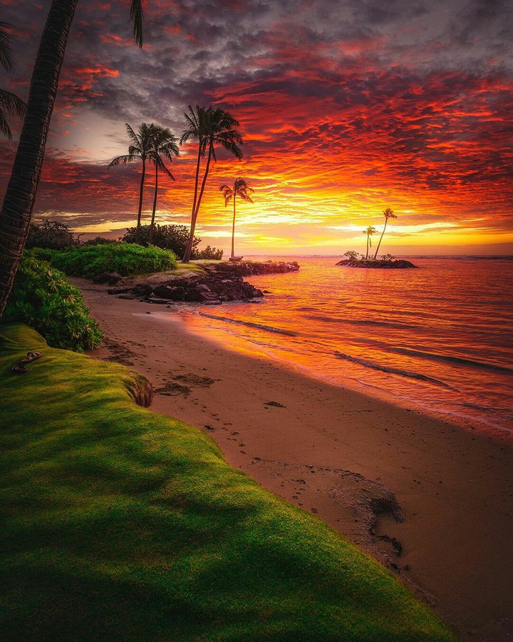A Hawaiian Sunset ❤
