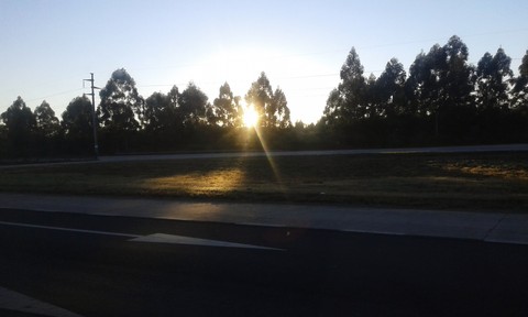 FrescoAmanecer