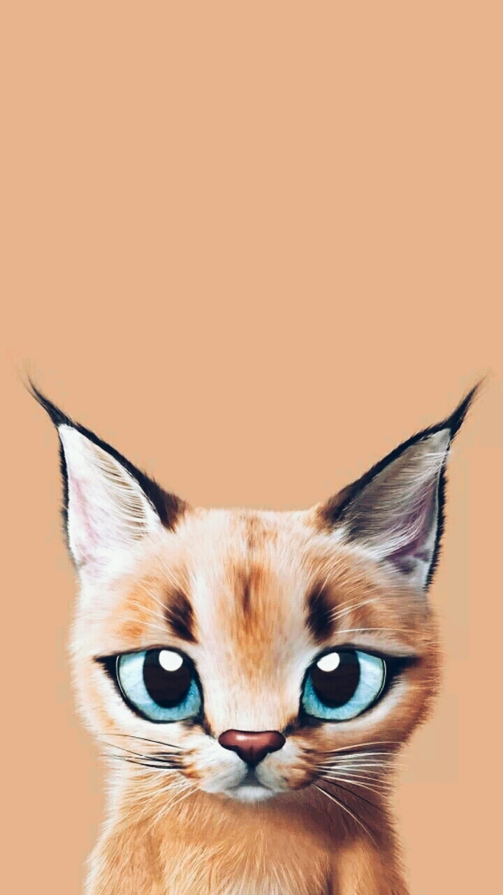 Ryś