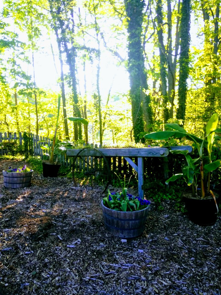 garden