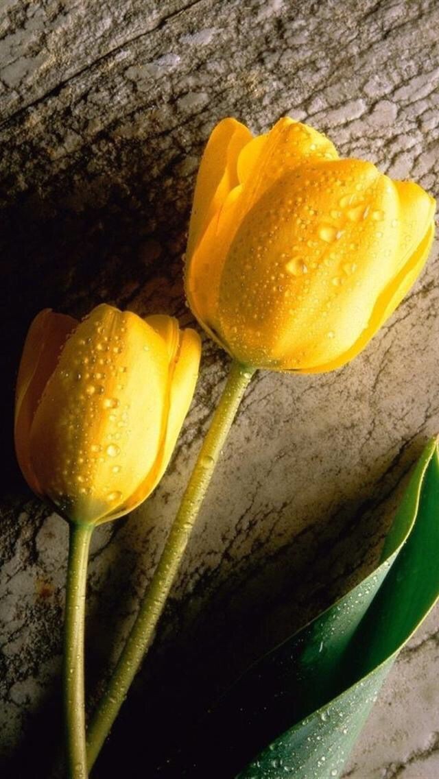 ❤