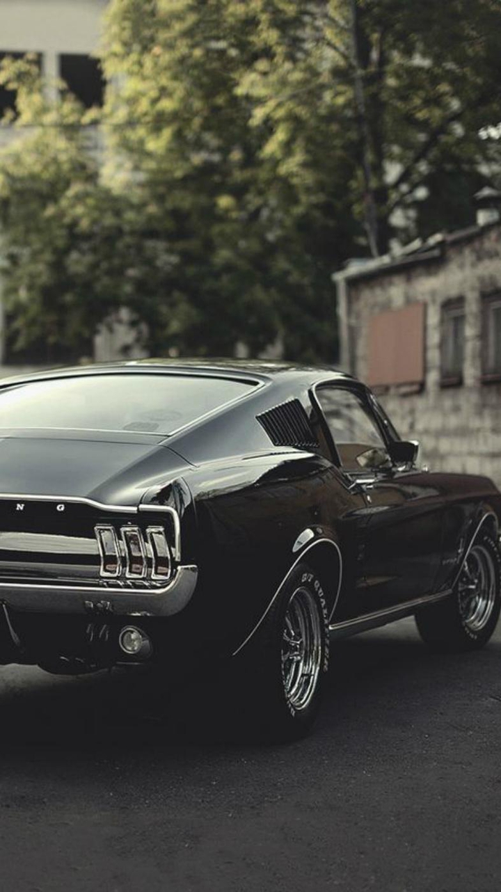 Mustang 2