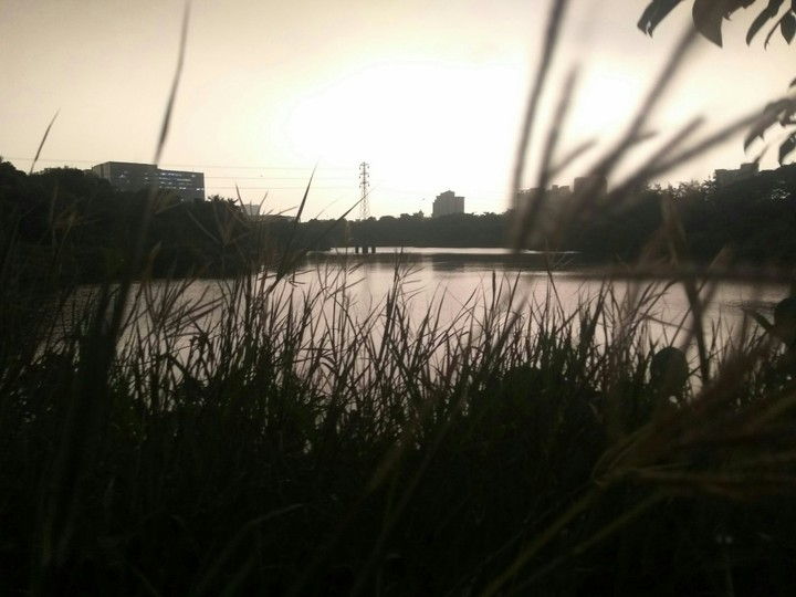 landscape focus