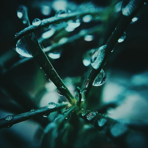 monsoon days.