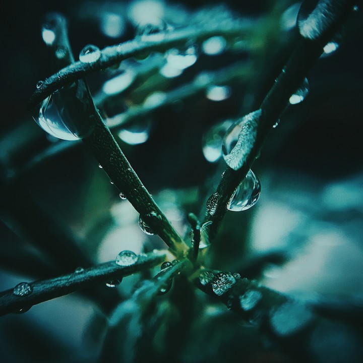 monsoon days.