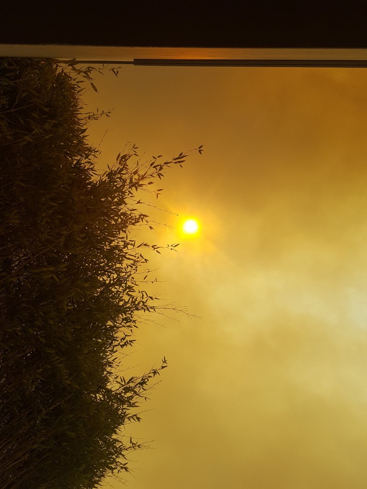 summer, sun, fire, nature, red, yellow