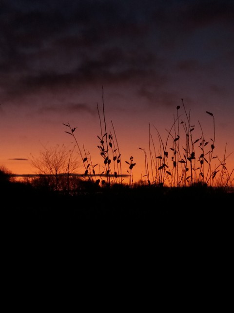 ?orange sky?
