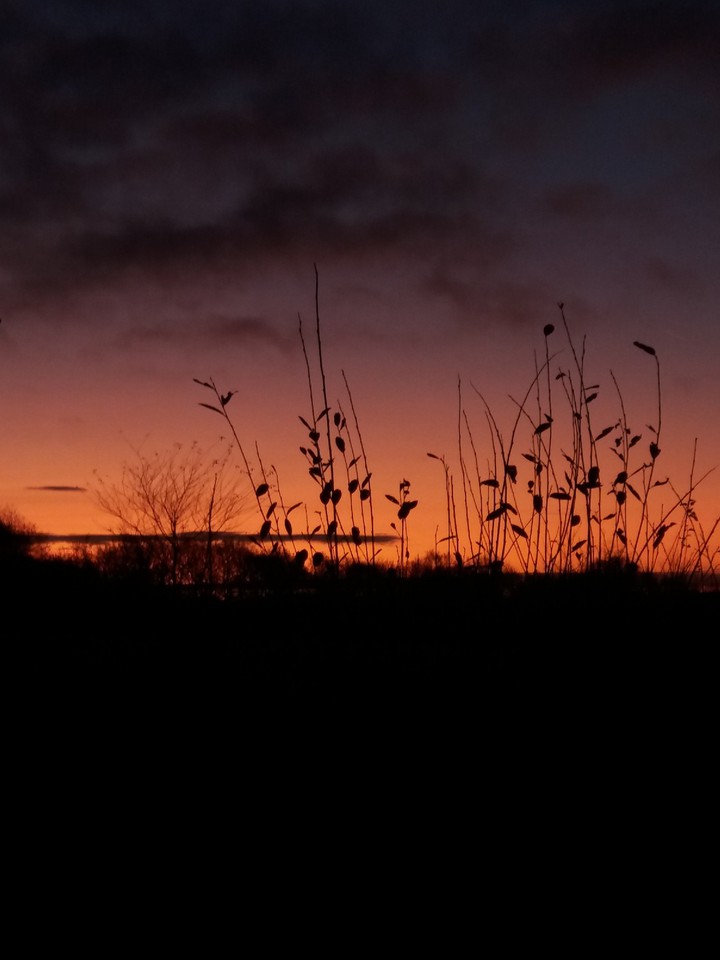 ?orange sky?