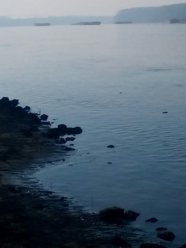 Dunav
