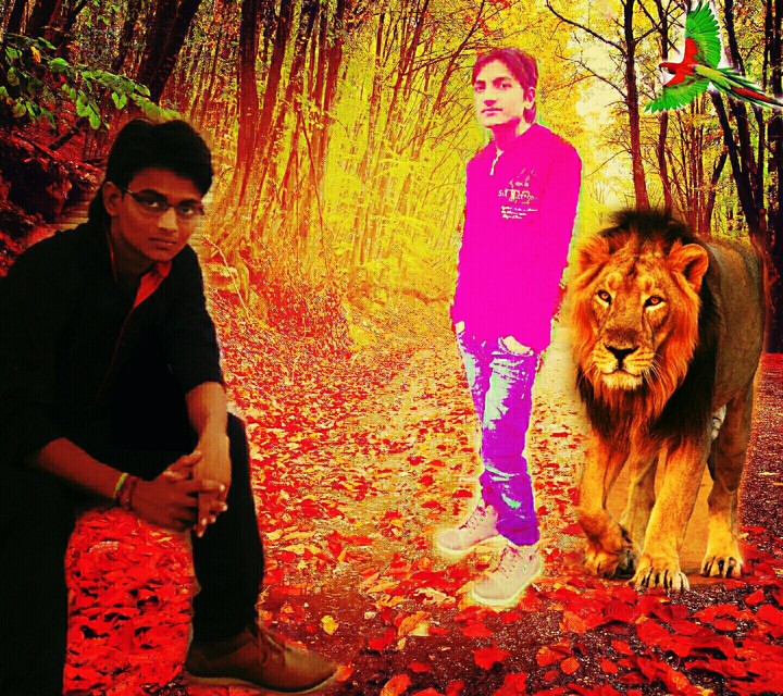 Pankaj art
