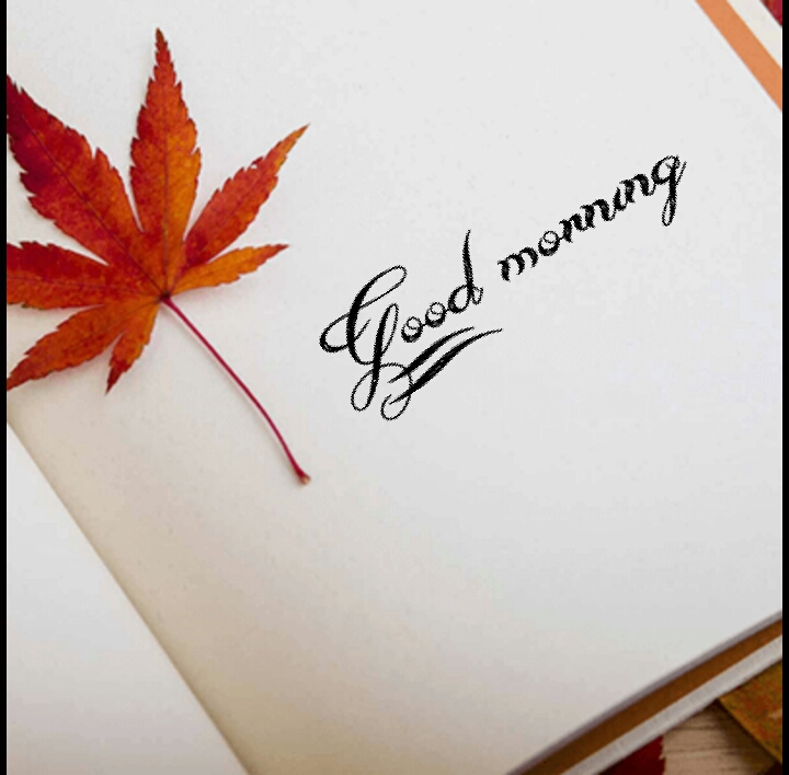 Good morning