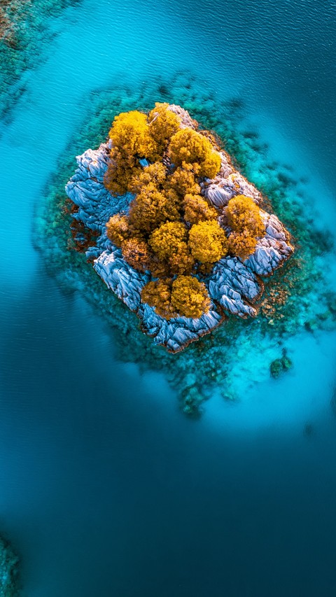 reef, ocean duvar kağıtları