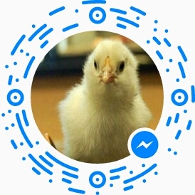 زيدزيدعباس نصار