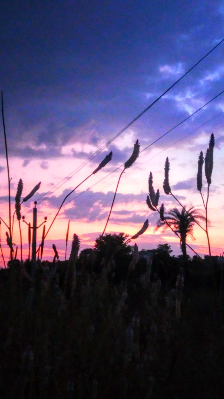 evening click