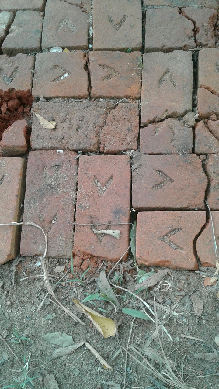 Stone