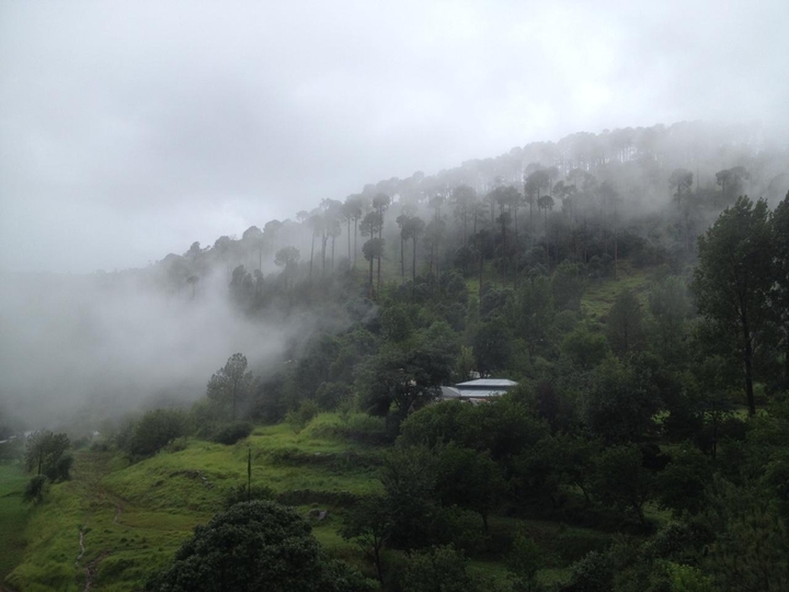 Hills Covered With Fogg in Summer