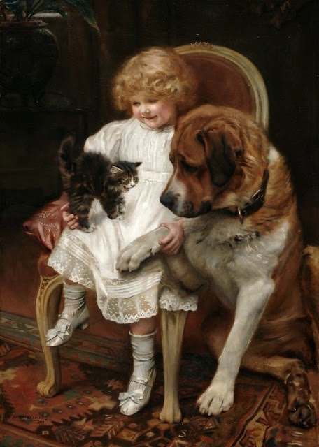 dog & cat