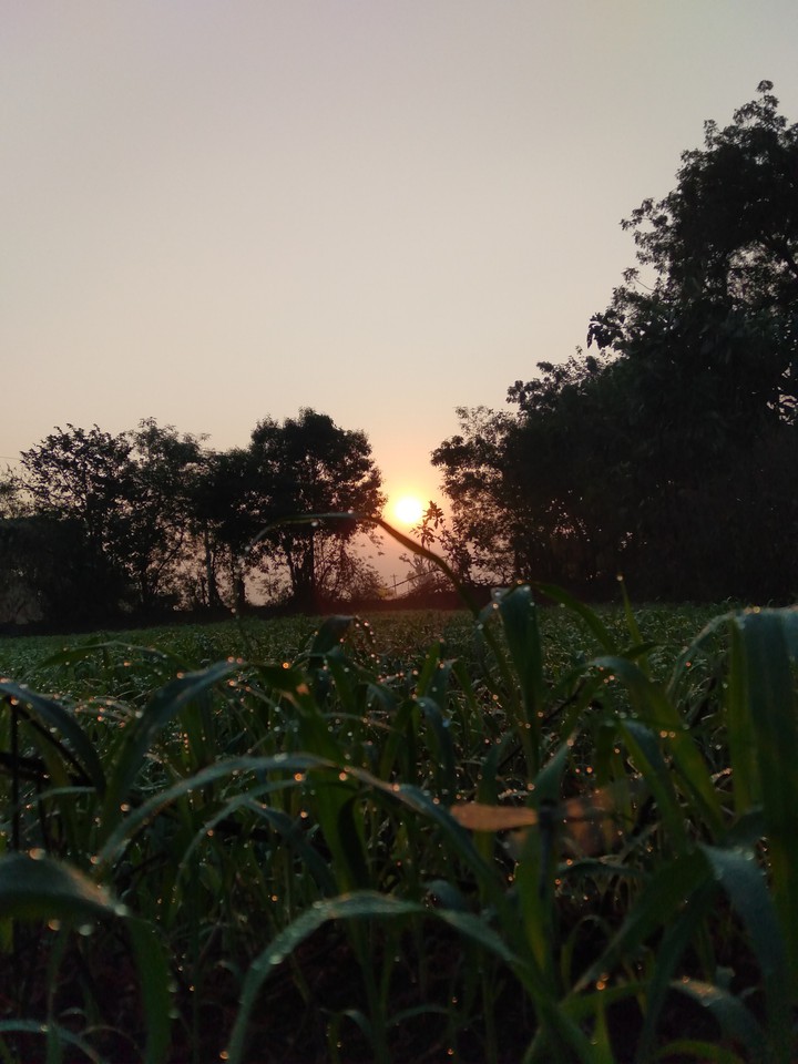 Morning Time Sun ?