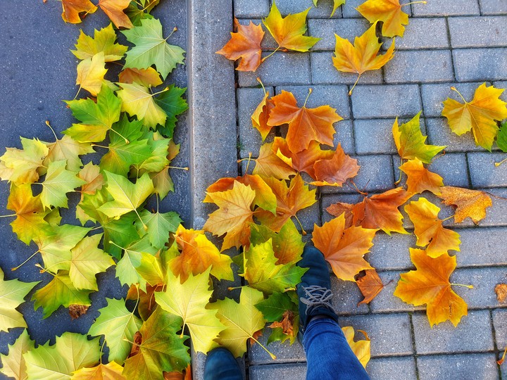 Autumn