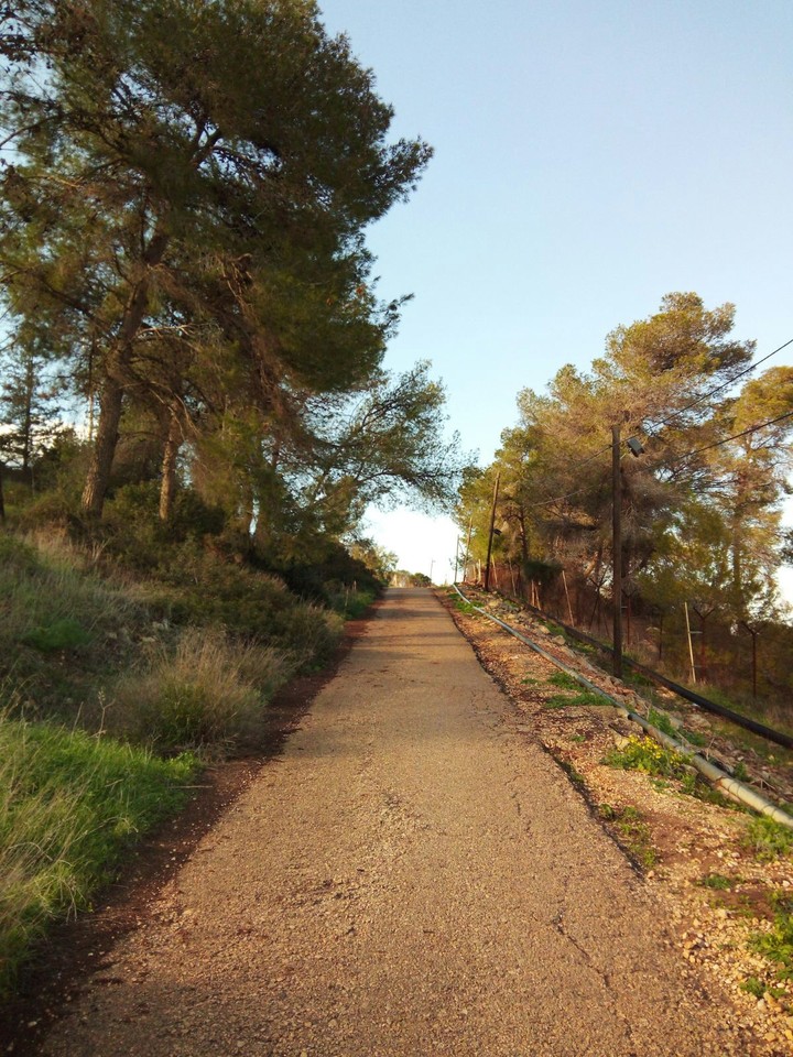 your way