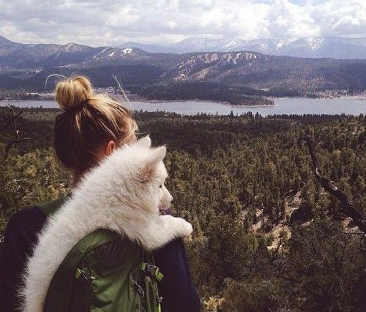 Backpacking Pal