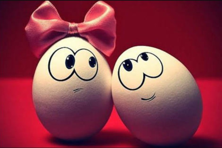 EGGS