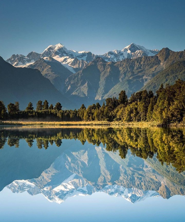 forest reflection
