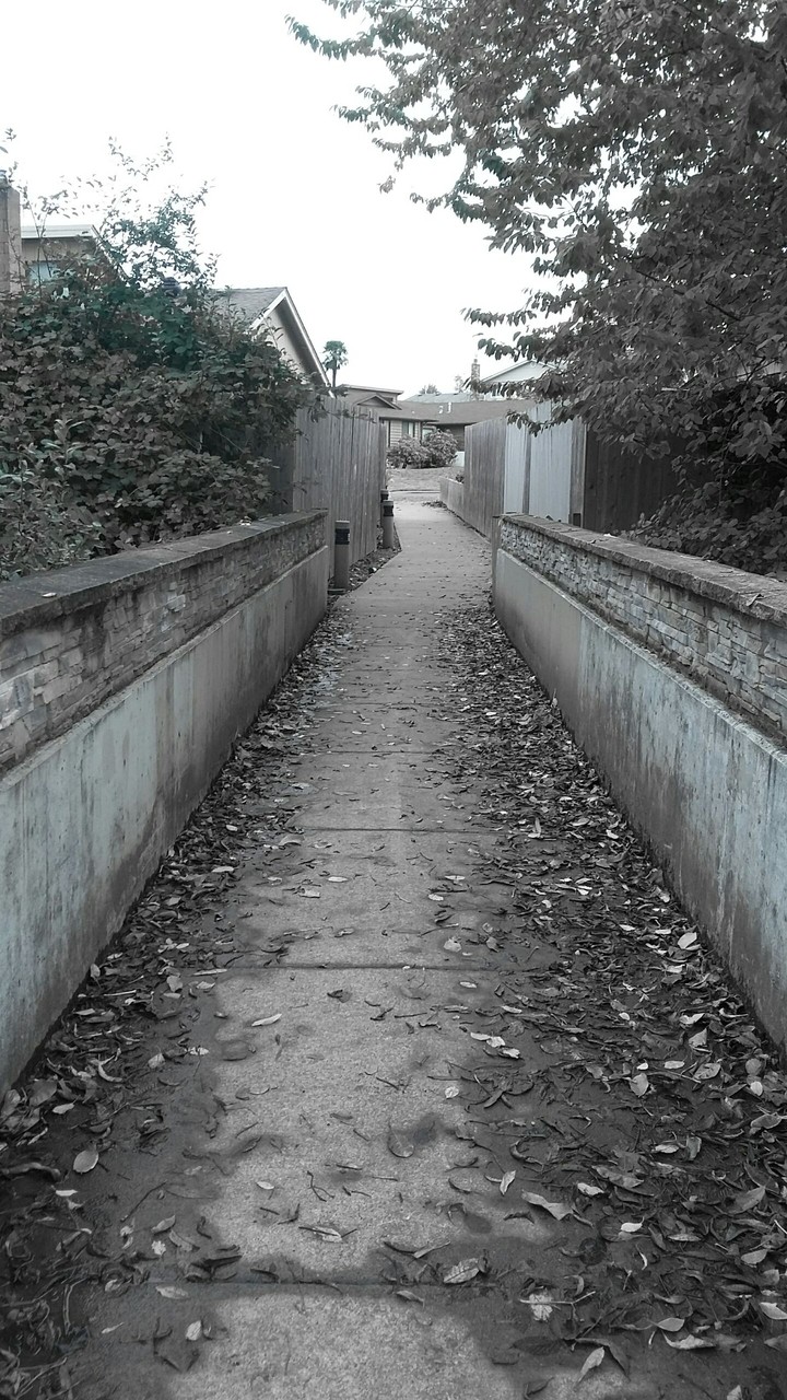 Bridge to Home