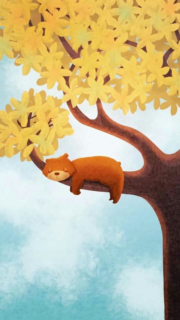 bear