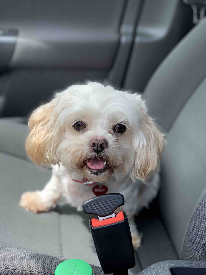 Bella ?