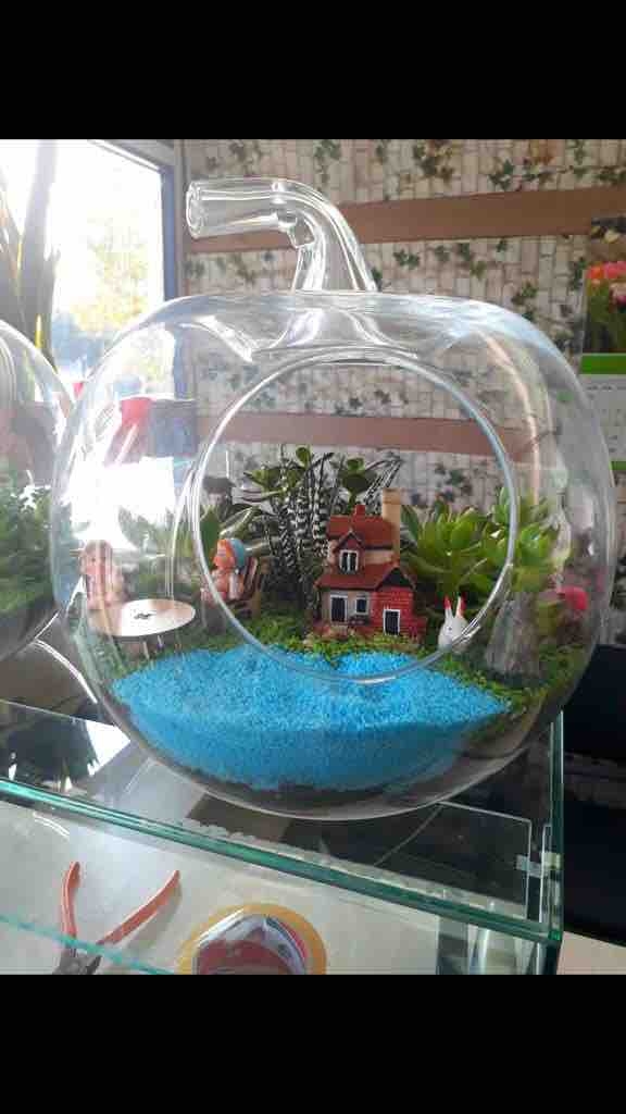 terrarium
