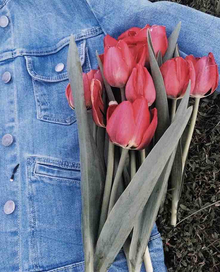 tulips are on the jacket