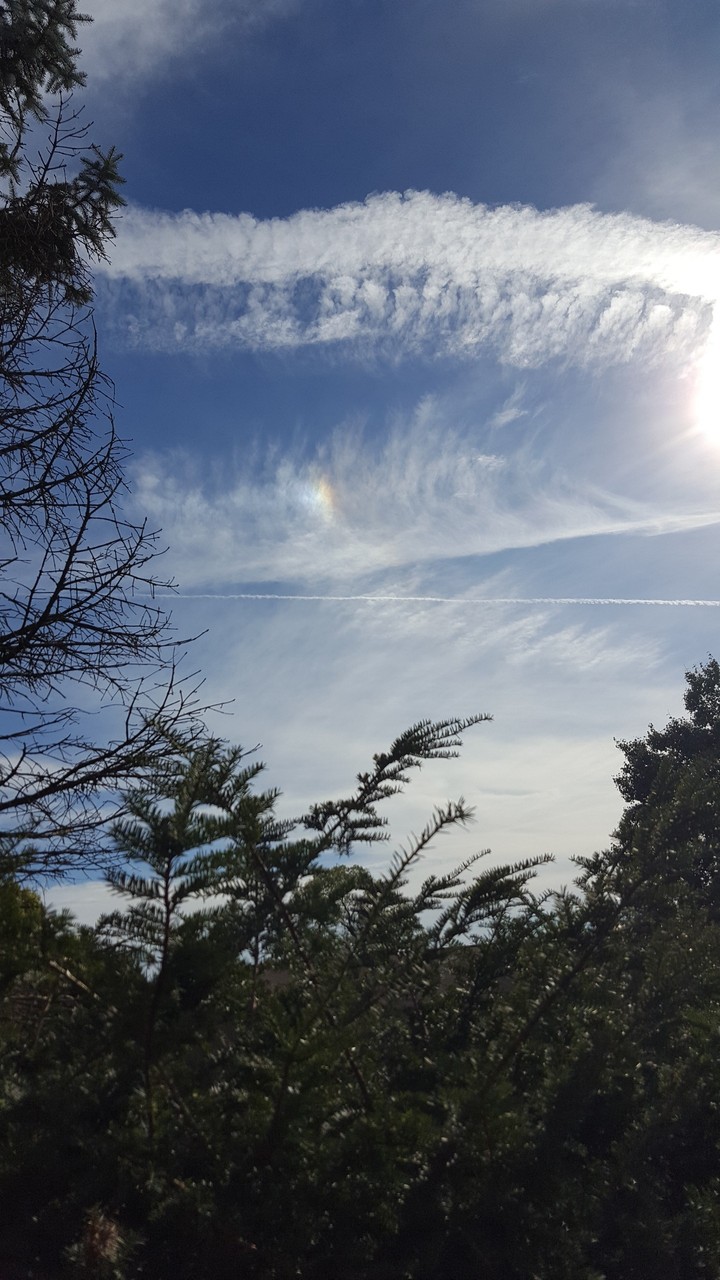 mini rainbow in the *trail