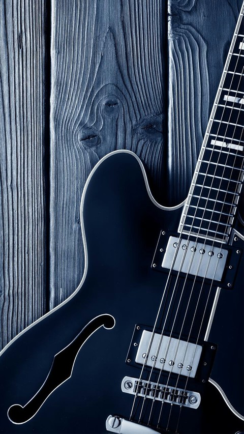 Guitar