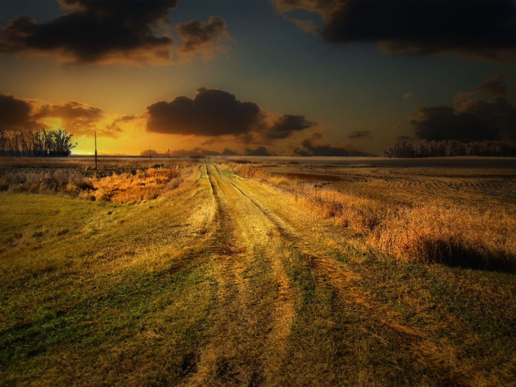 Tractor Trail