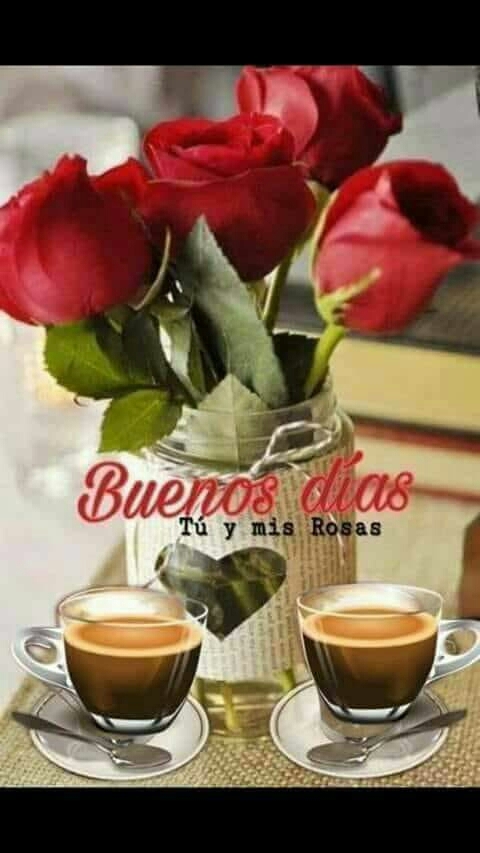 Tú y mis Rosas