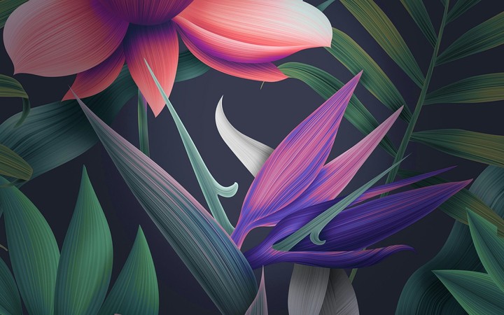 Flover