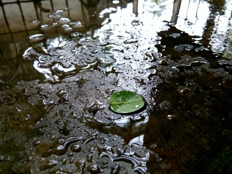 rain droplets