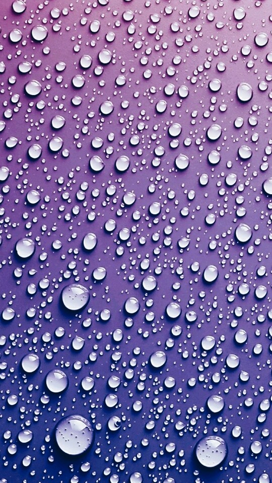 rain