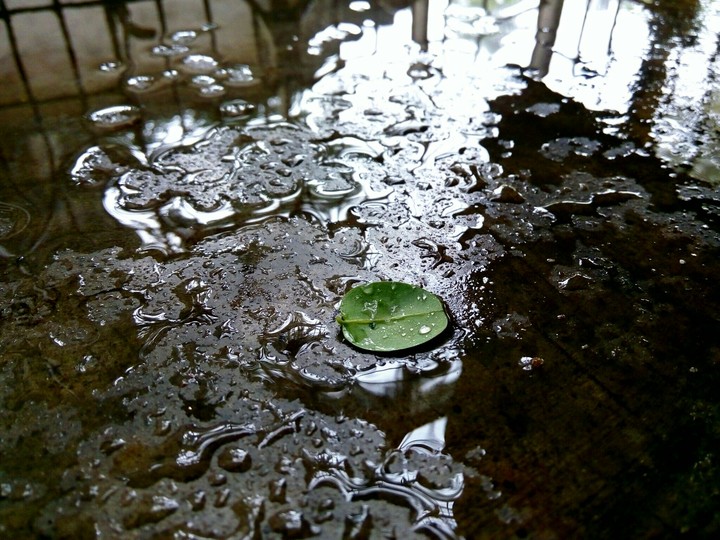 rain droplets