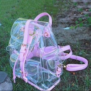 Transparent Bag