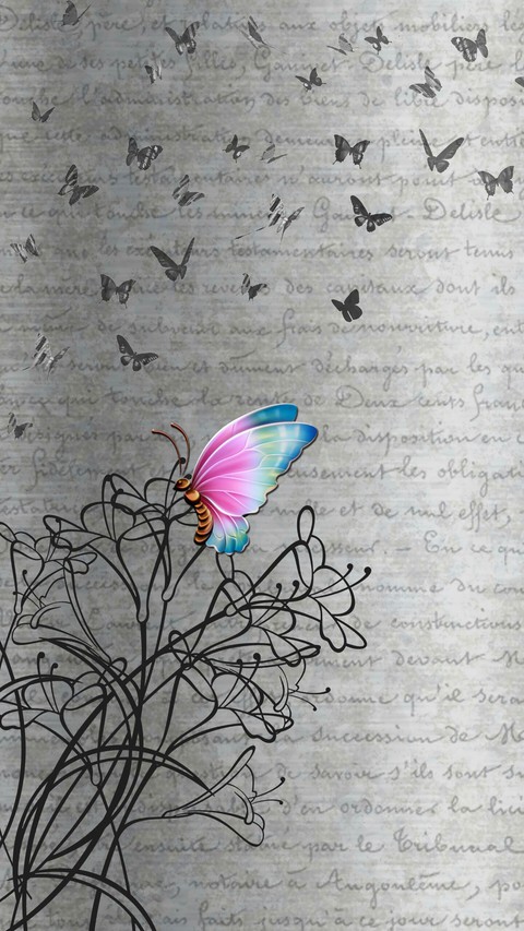 butterfly