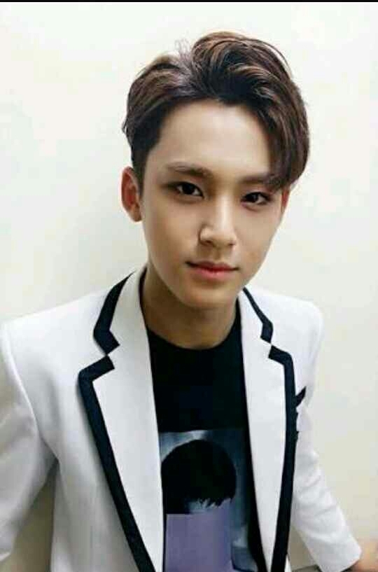 Seventeen Mingyu