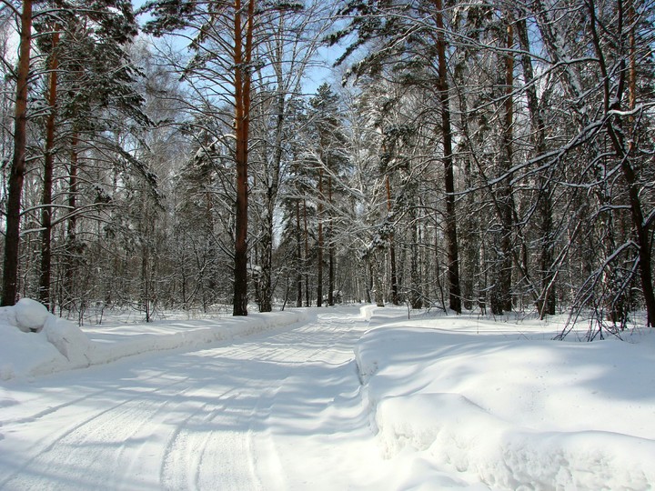 Сибирь